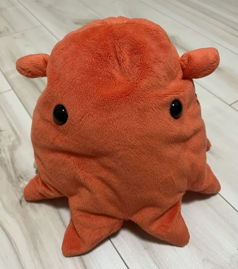 Thumbnail of Dumbo Octopus Plush