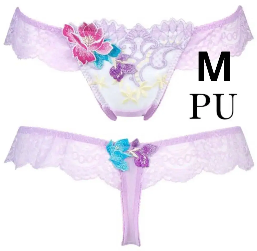 サルートPTJ443.PTJ743 ブラジャーショーツセット G70 L