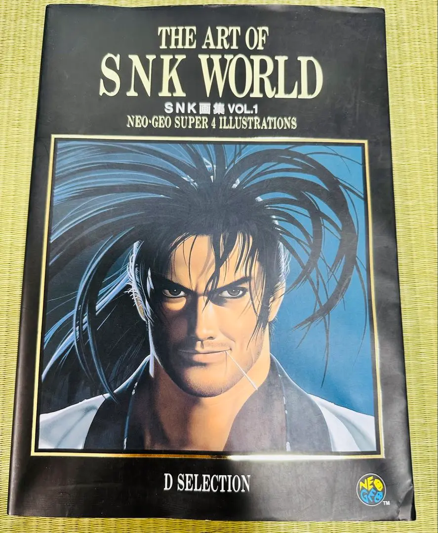 画集 SNKイラストレーションズ 2025年最新】snk 画集の人気アイテム - メルカリ