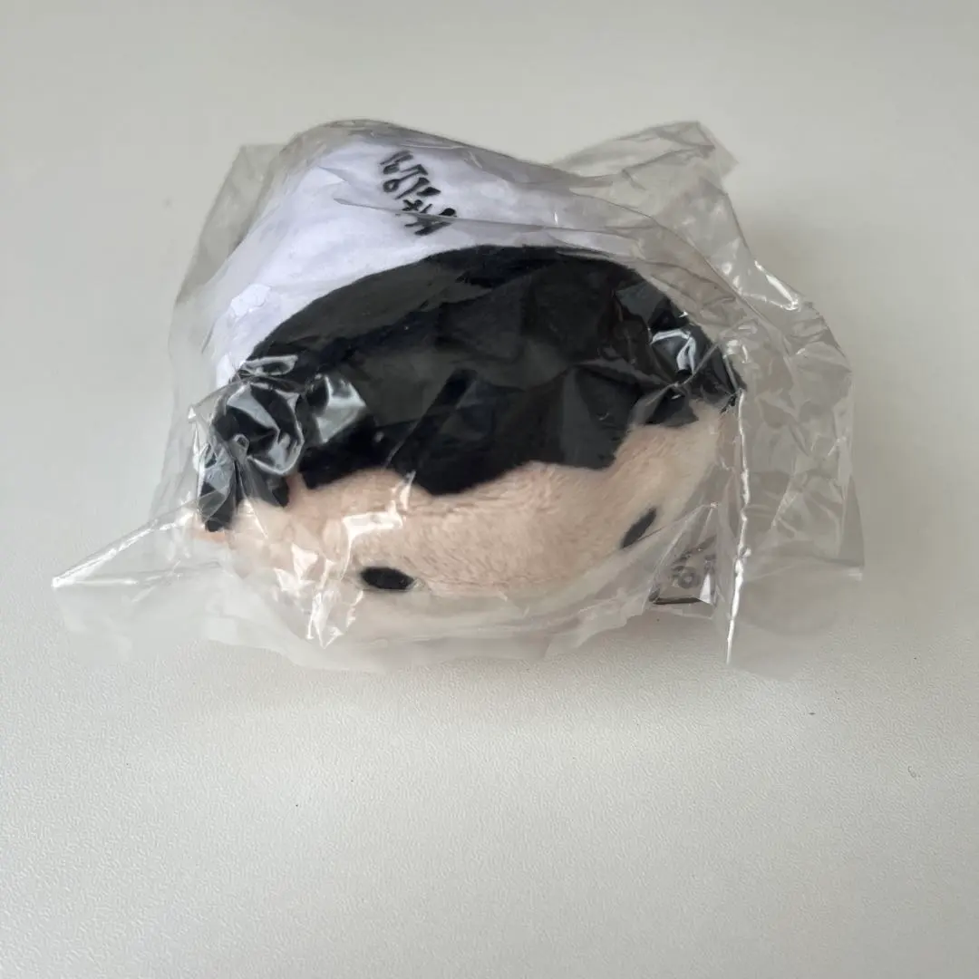 Thumbnail of Haikyu!! Noru Chara Mascot - Hajime Iwaizumi - Champion T-shirt Ver.