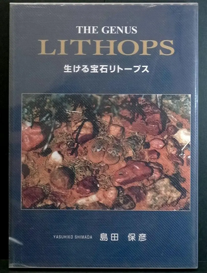 ※限定セール　生ける宝石　リトープス  lithops 島田　保彦 2025年最新】リトープス 本の人気アイテム - メルカリ