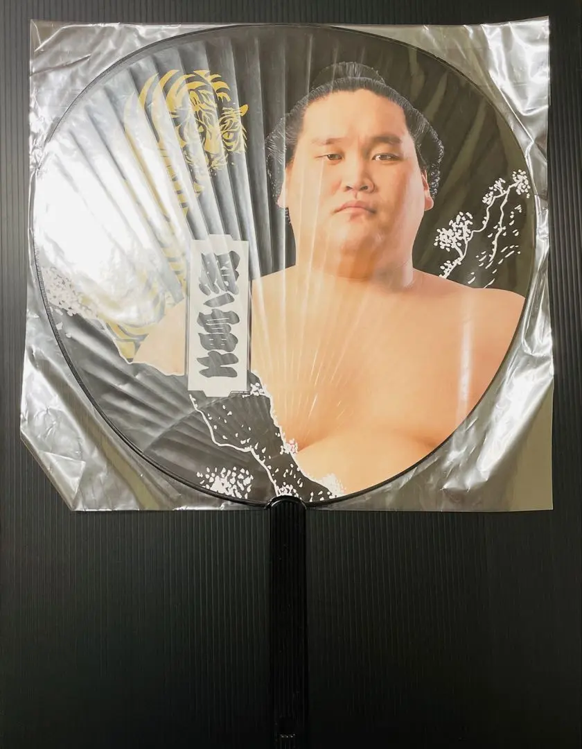 照ノ富士直筆サイン入り本&相撲土産セット Yahoo!オークション -「照ノ富士 サイン」の落札相場・落札価格