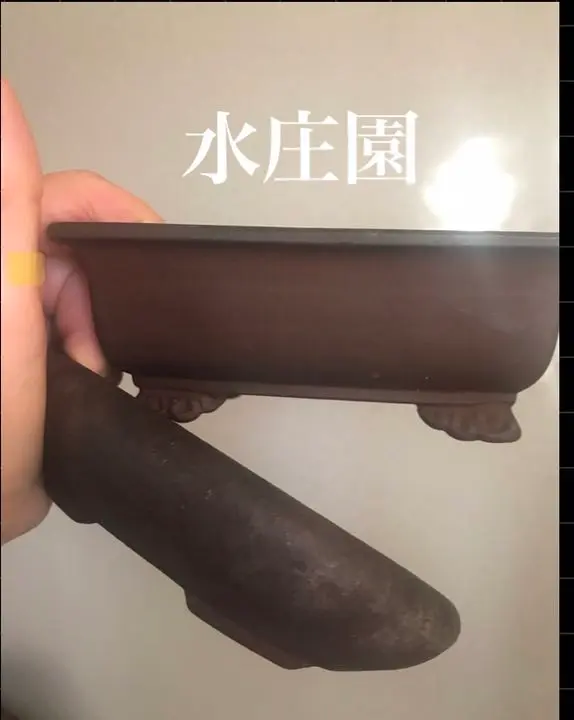 水庄園　長方　盆栽鉢 盆栽鉢水庄園緑泥切立長方D5-9