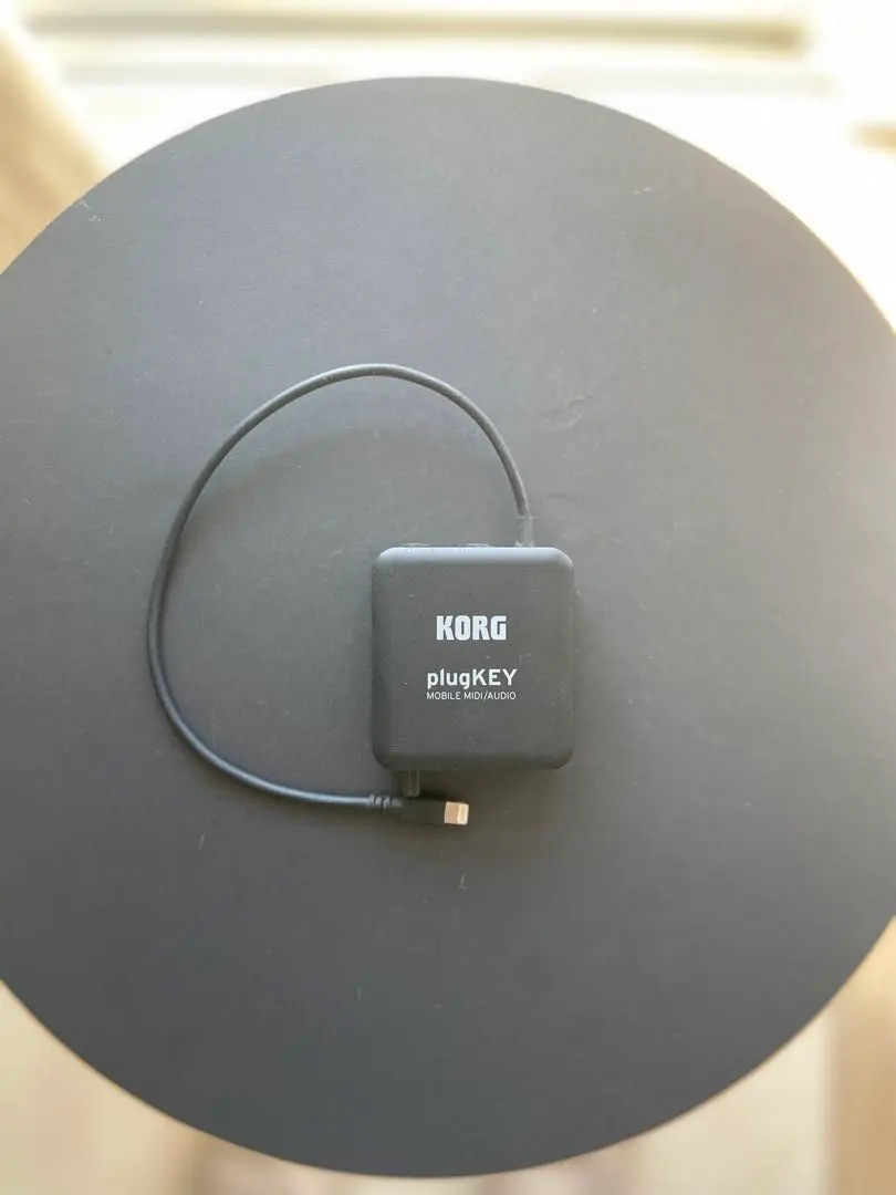 2025年最新】korg plugkeyの人気アイテム - メルカリ
