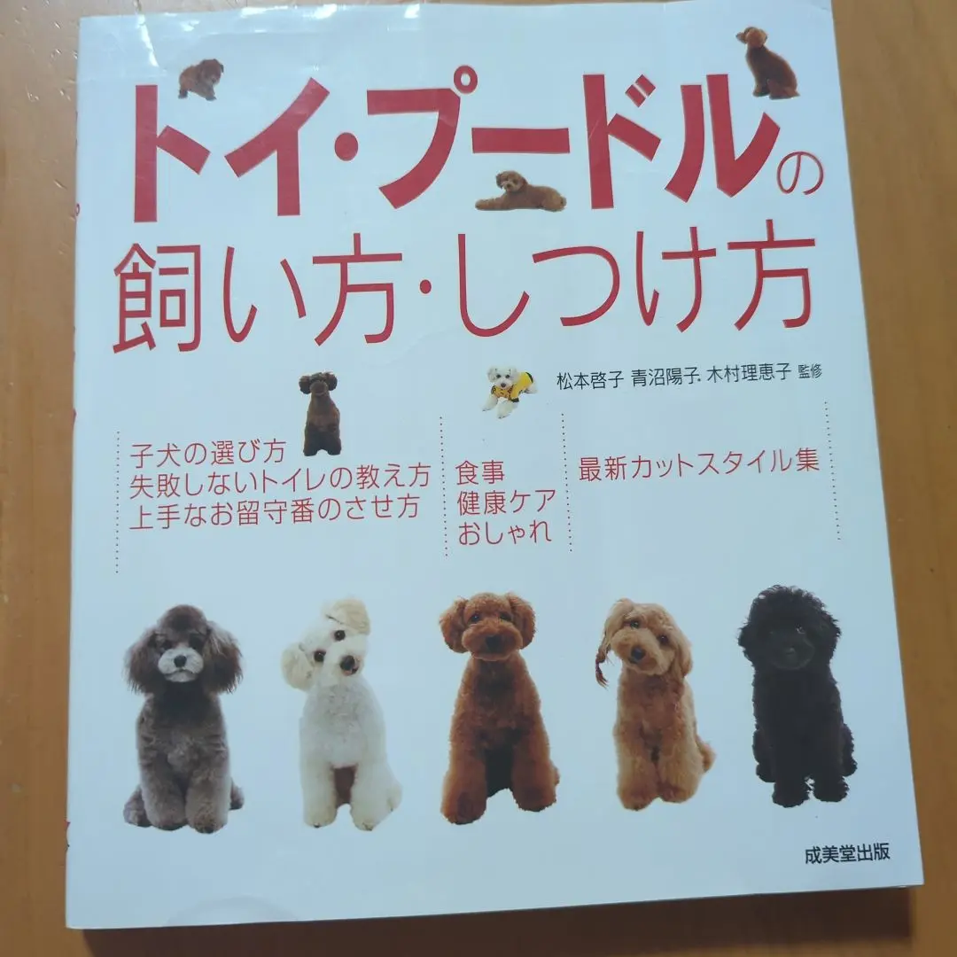 オマケ付き!美品!稀少!木村恵子　style インサート付き!アナログ! オマケ付き!美品!稀少!木村恵子 style インサート付き!アナログ!