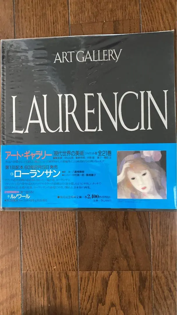 アートギャラリー　現代世界の美術　全２１巻 セール 登場から人気沸騰 アート・ギャラリー 全21巻 現代世界の