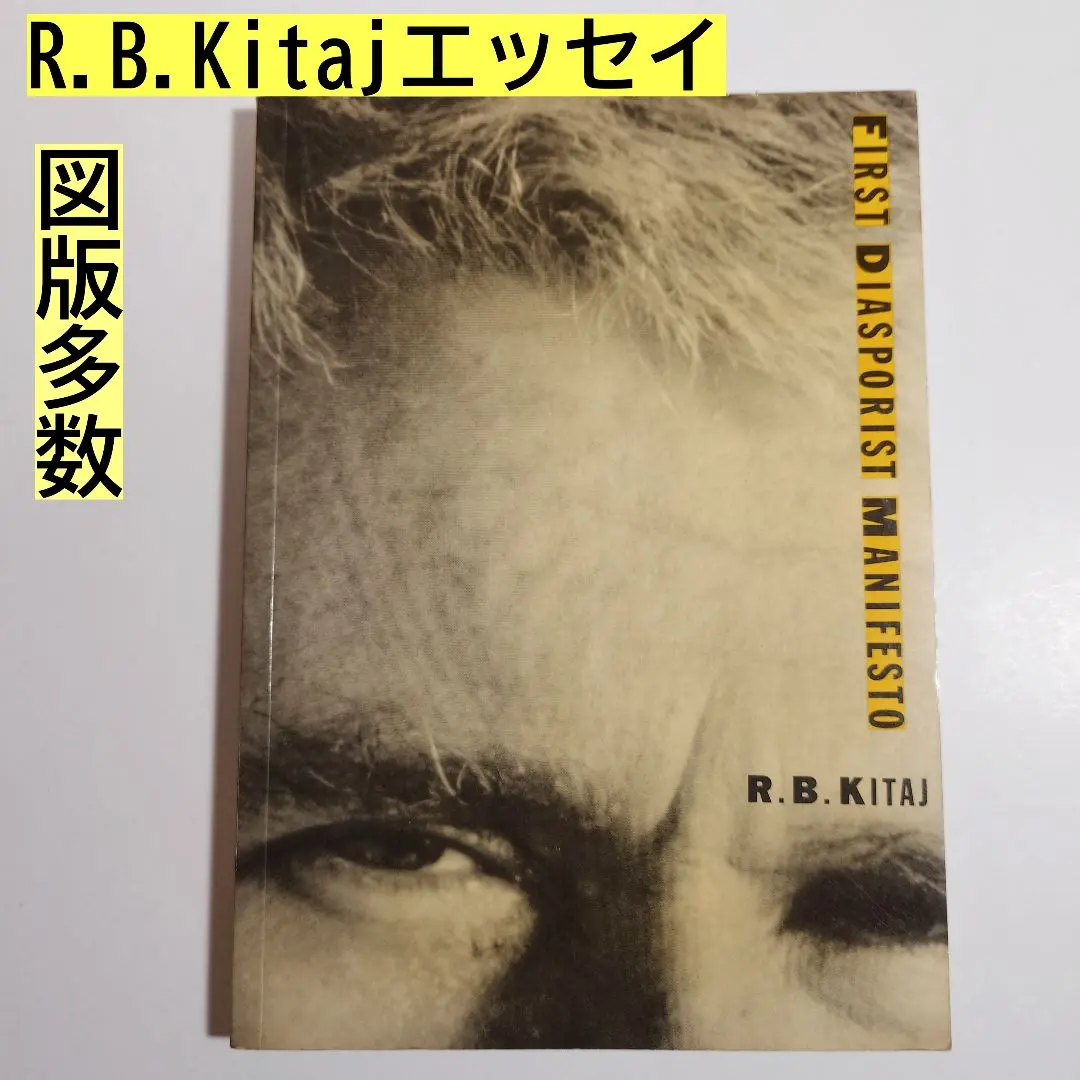 【希少】Critical Kitaj ペーパーバック R.B.キタイ 大竹伸朗 2025年最新】r b kitajの人気アイテム - メルカリ