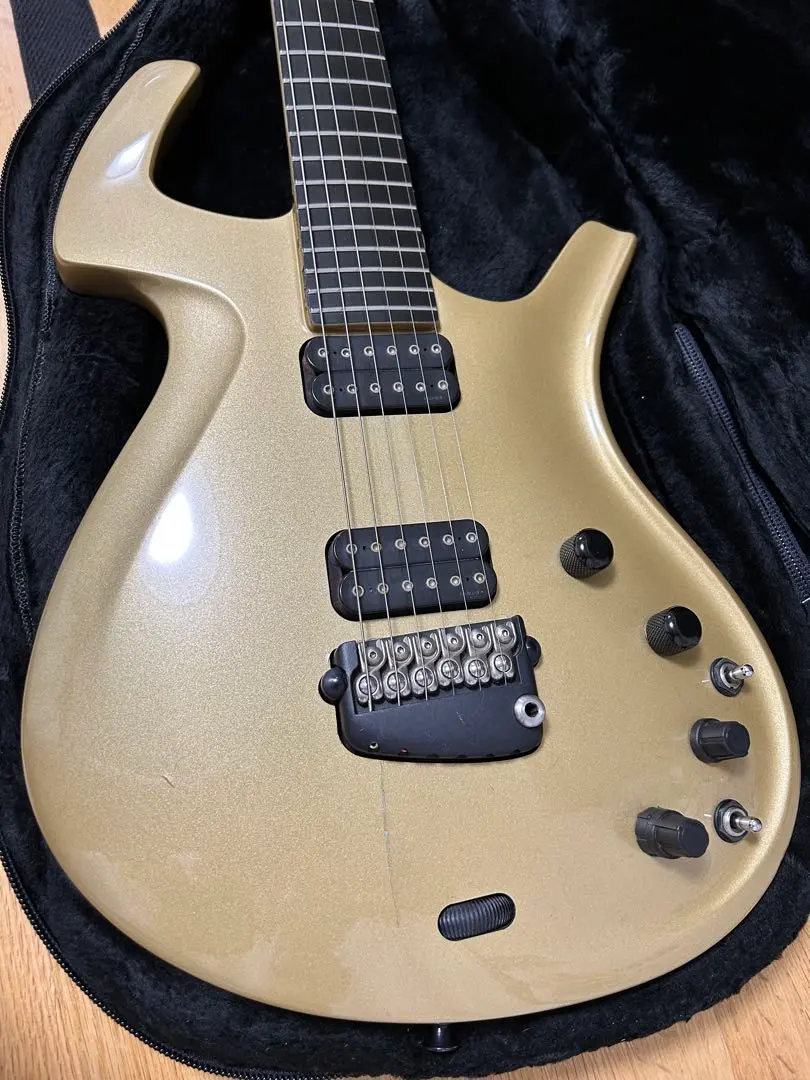 2025年最新】parker fly ギターの人気アイテム - メルカリ