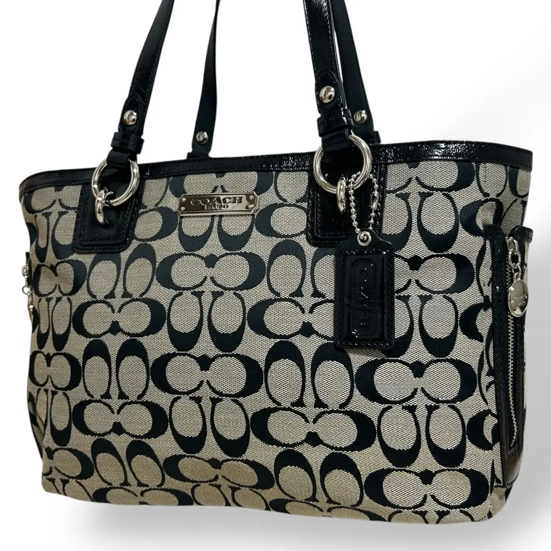 極美品 COACH シグネチャー ハンドバッグ グレー ブラック 492 ✨コーチ✨ ハンドバッグ シグネチャー ブラック グレー ワン