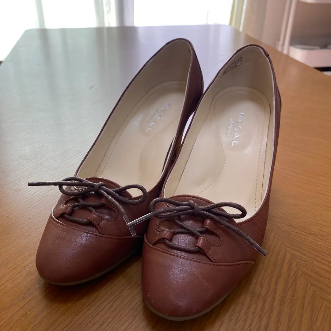 Thumbnail of REGAL pumps