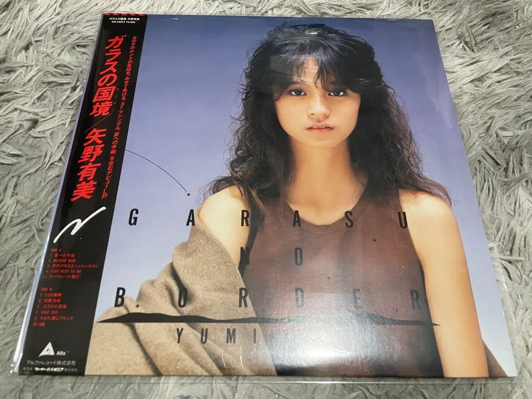 矢野有美 ガラスの国境＋MAKIN' IT（+5）２CD 紙ジャケット Amazon.co.jp: 「ガラスの国境」+「MAKIN' IT(+5)」: ミュージック