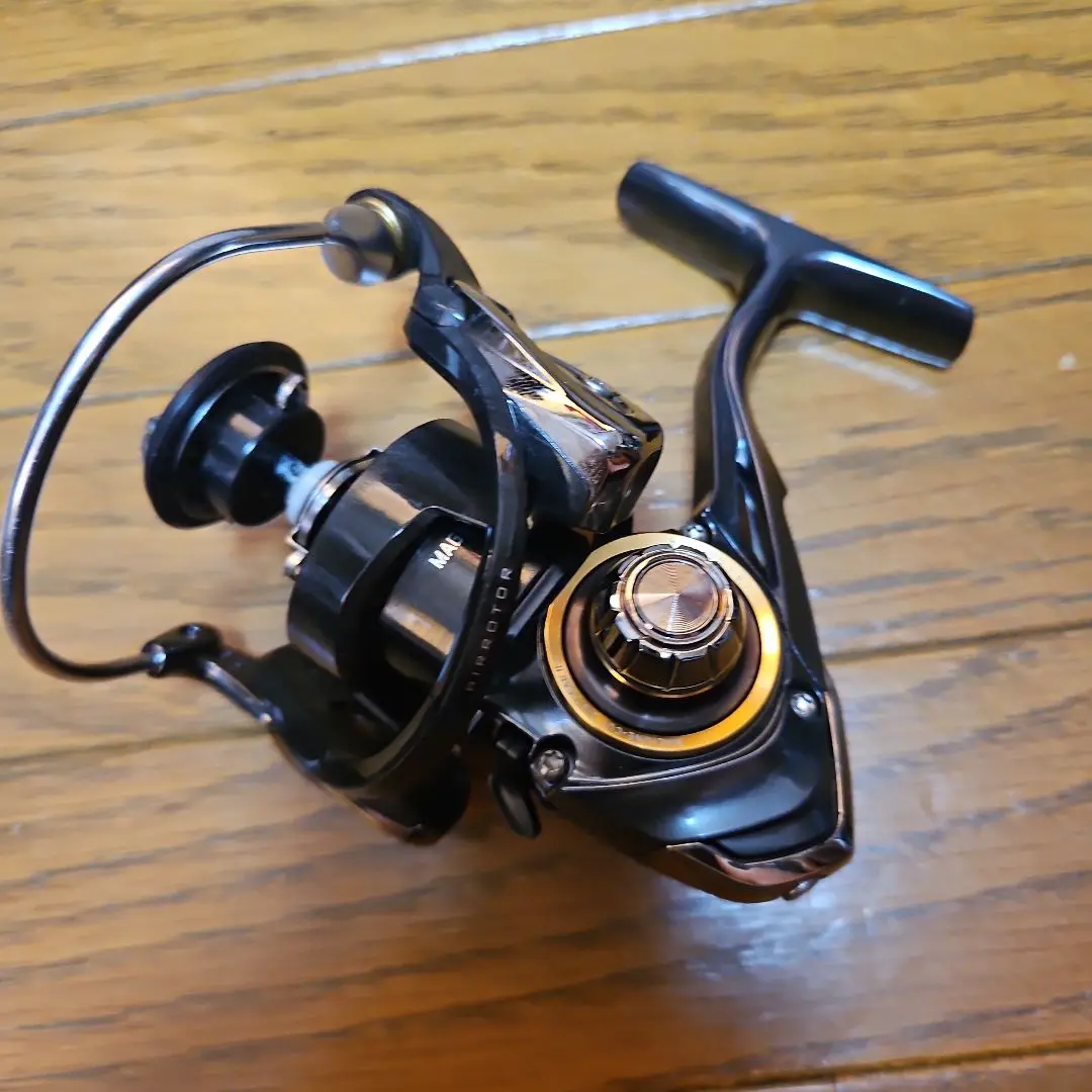 DAIWAセオリー2508pe-h ダイワ(Daiwa) セオリー2508PE-H】パワーフィネスに良さそうな