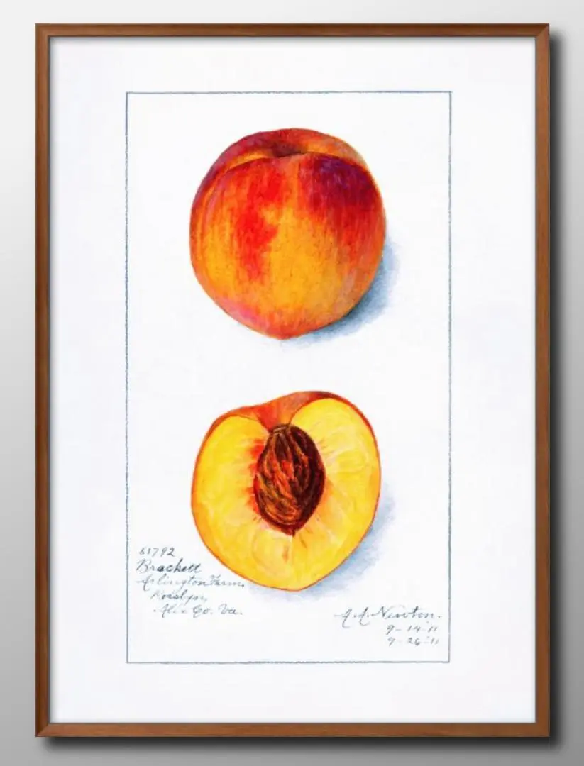 2025年最新】peach絵画原画の人気アイテム - メルカリ