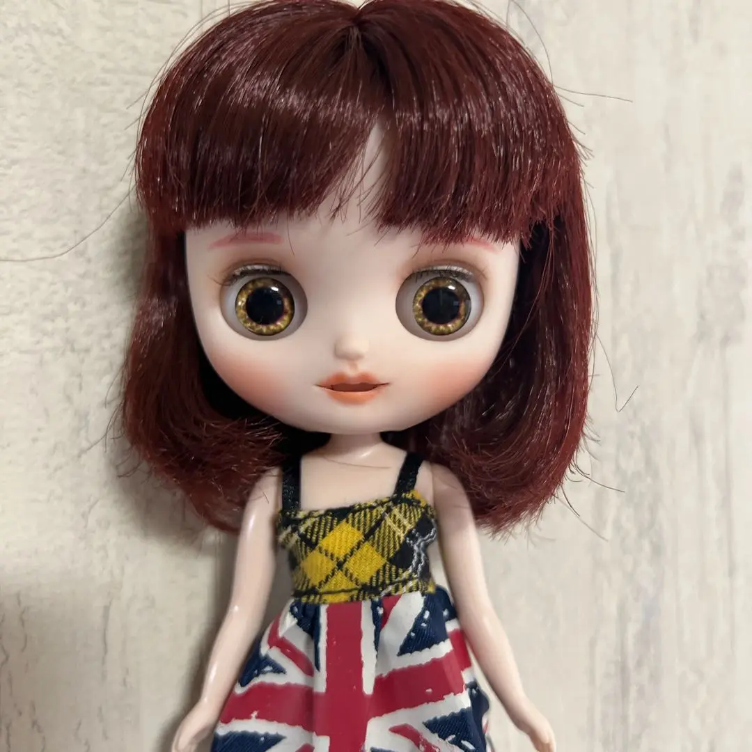 【最終価格】カスタムブライス　国内作家様 最終価格】カスタムブライス 国内作家様