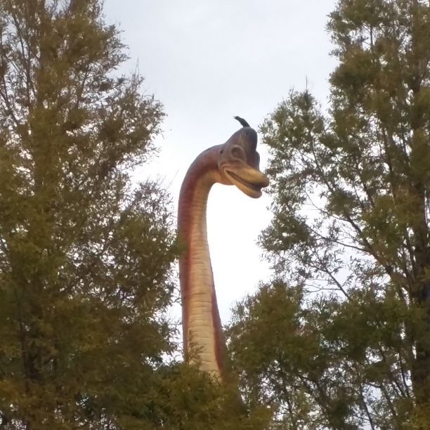 見事な創造力 しらす明太子さん専用新車外しジープラングラーJL サイド