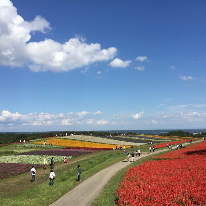 3日間限定5000円オフACYM アシームヘリンボーン チェックセットアップ  