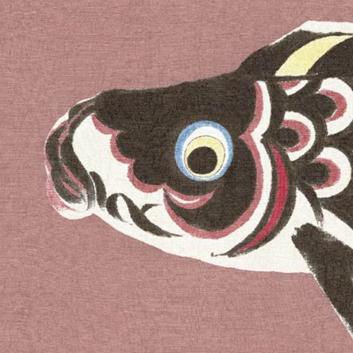 貴重 SOPHNATIVE sophnet × nonnative XLサイズ - メルカリ 