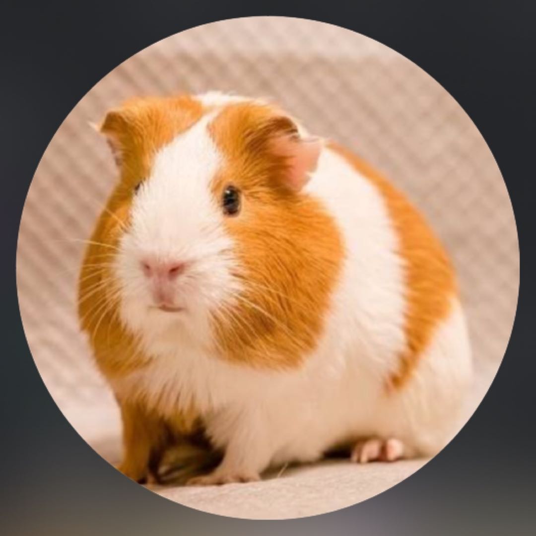 omori 12月 8月 ポスター 5.29まで