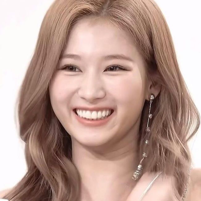 Tt トレカ フォトカード Twice 9枚 セルカ コンプ Www arelandomoda Com