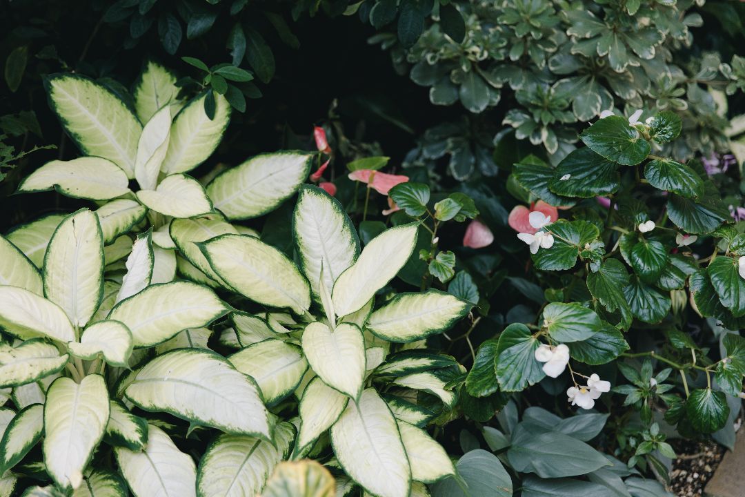 ぷぴの出品情報 評価 4 出品数 128 メルカリ スマホでかんたん フリマアプリ