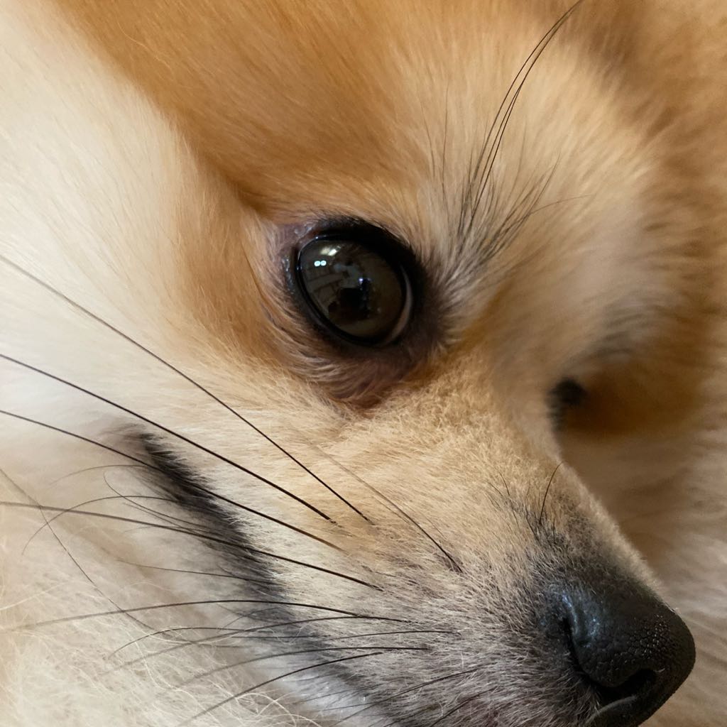 ZELVIE #02 #03 コンパウンド 大容量1000ml ラベルレス - メルカリ 