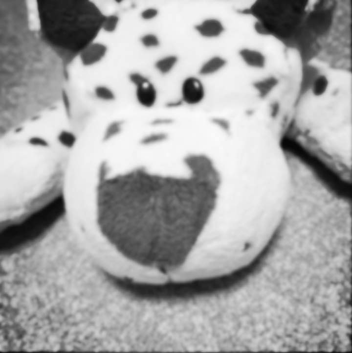 h様専用 イルビゾンテ カードケース クロコ 型押し ダークブラウン