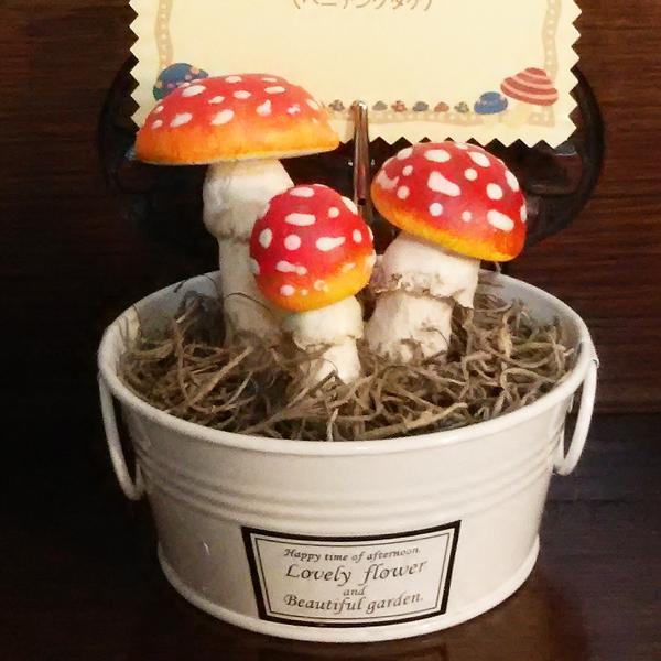 3/17※【1ヤード】キャスキッドソン 兵士 デニム生地 - メルカリ 