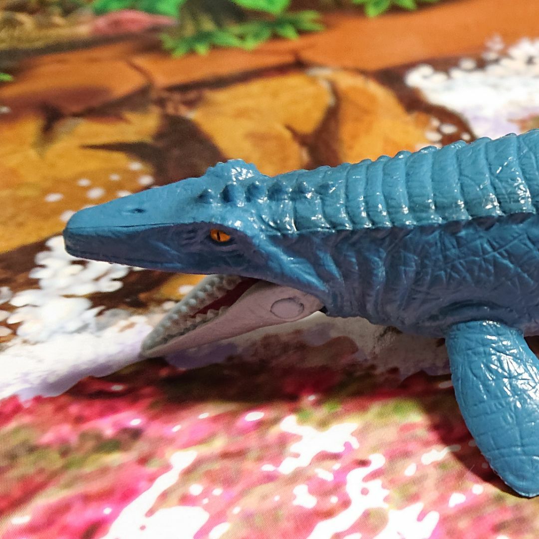 未開封back number 2013 ファンクラブ限定タグ付き武道館Tシャツ