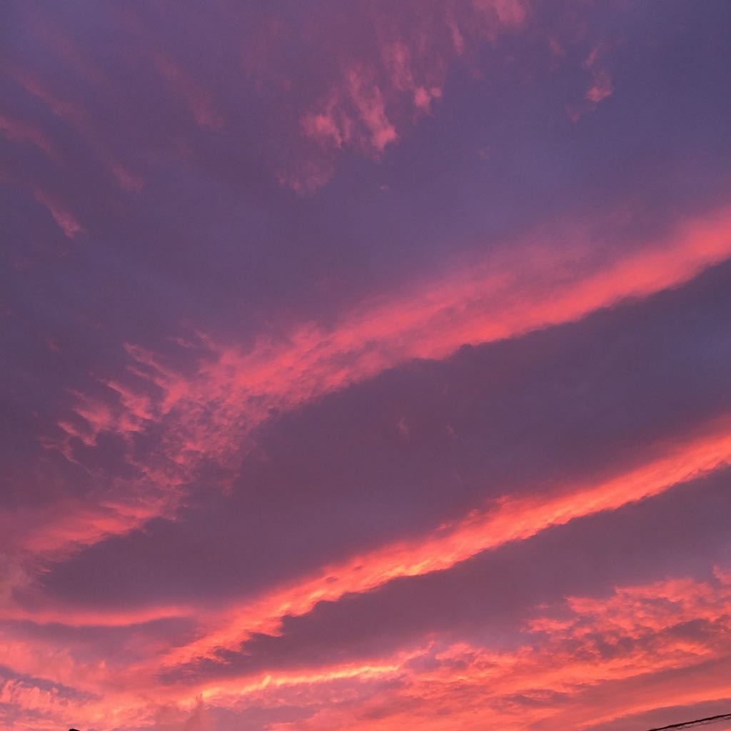 100 本物保証 Asics L E Gel Resolution8 シューズ Growatt Pl