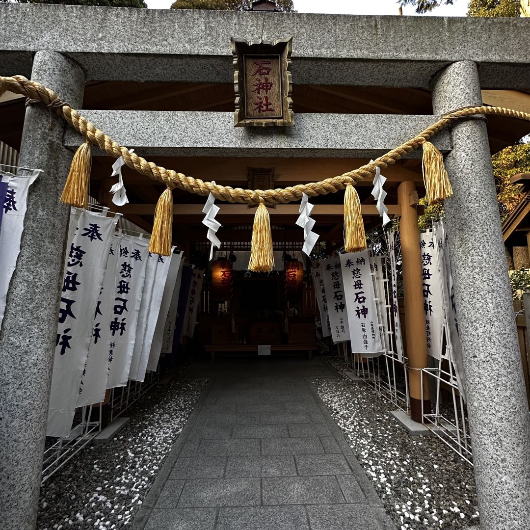 直営店別注】ノースフェイス／トリップシリーズセットアップ（ブラック  