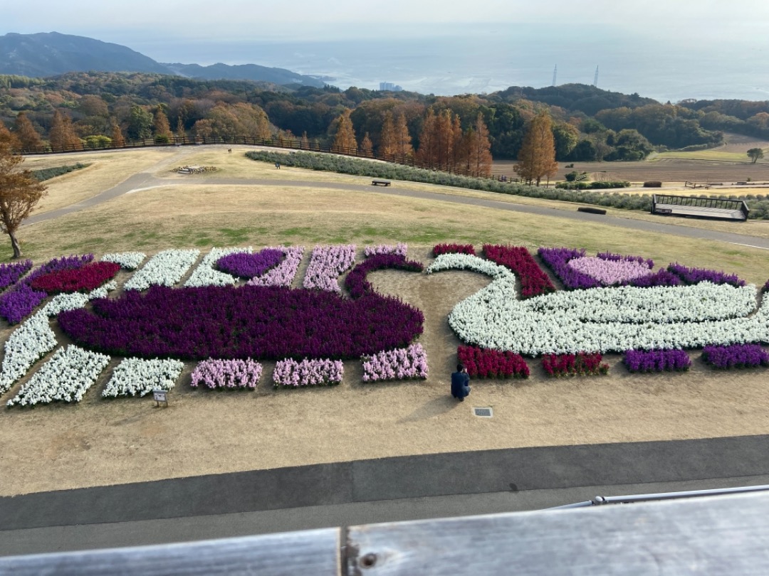 茶道具 茶事 帛紗 古帛紗 正絹國寶早雲寺文基裂金襴龍村美術織物 昭和
