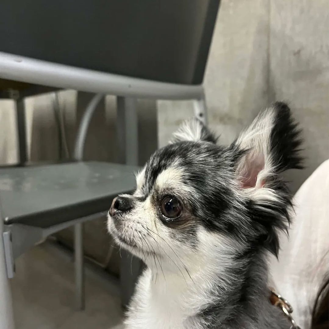 BlackEyePatch × WettedYouth パーカー - メルカリ 