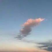 Miの出品情報 評価 50 出品数 44 メルカリ スマホでかんたん フリマアプリ