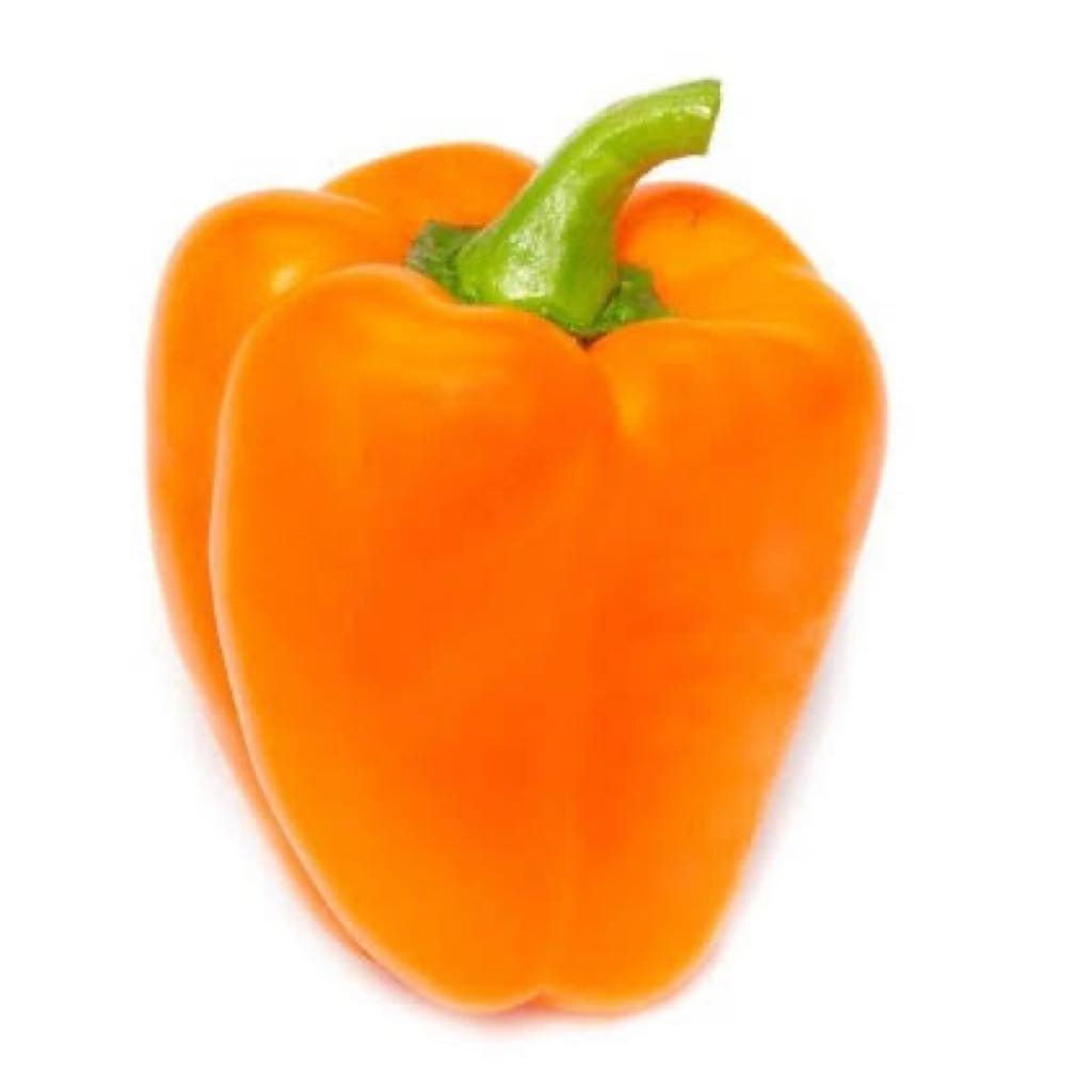 キーファー 馬場鞍 アクション サイズ17 付属品2点 - メルカリ 