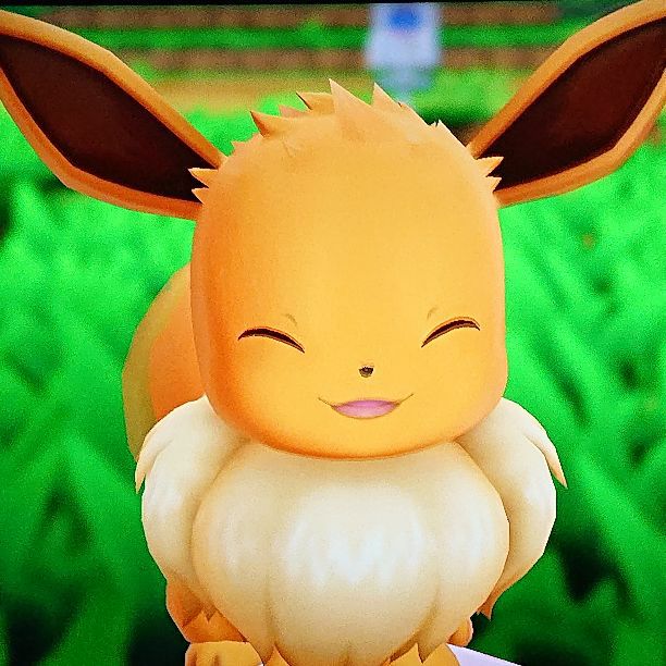 美品 New Nintendo 3DS LL ポケモンVC版2本付き by メルカリ 