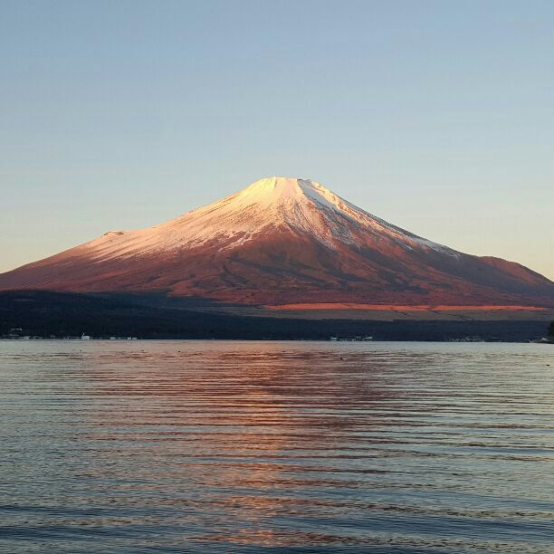 せぶんの出品情報 評価 355 出品数 メルカリ スマホでかんたん フリマアプリ