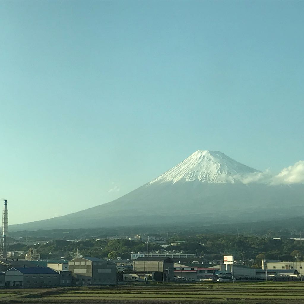 金川紗那 セット (バラ、お値下も検討します) - メルカリ