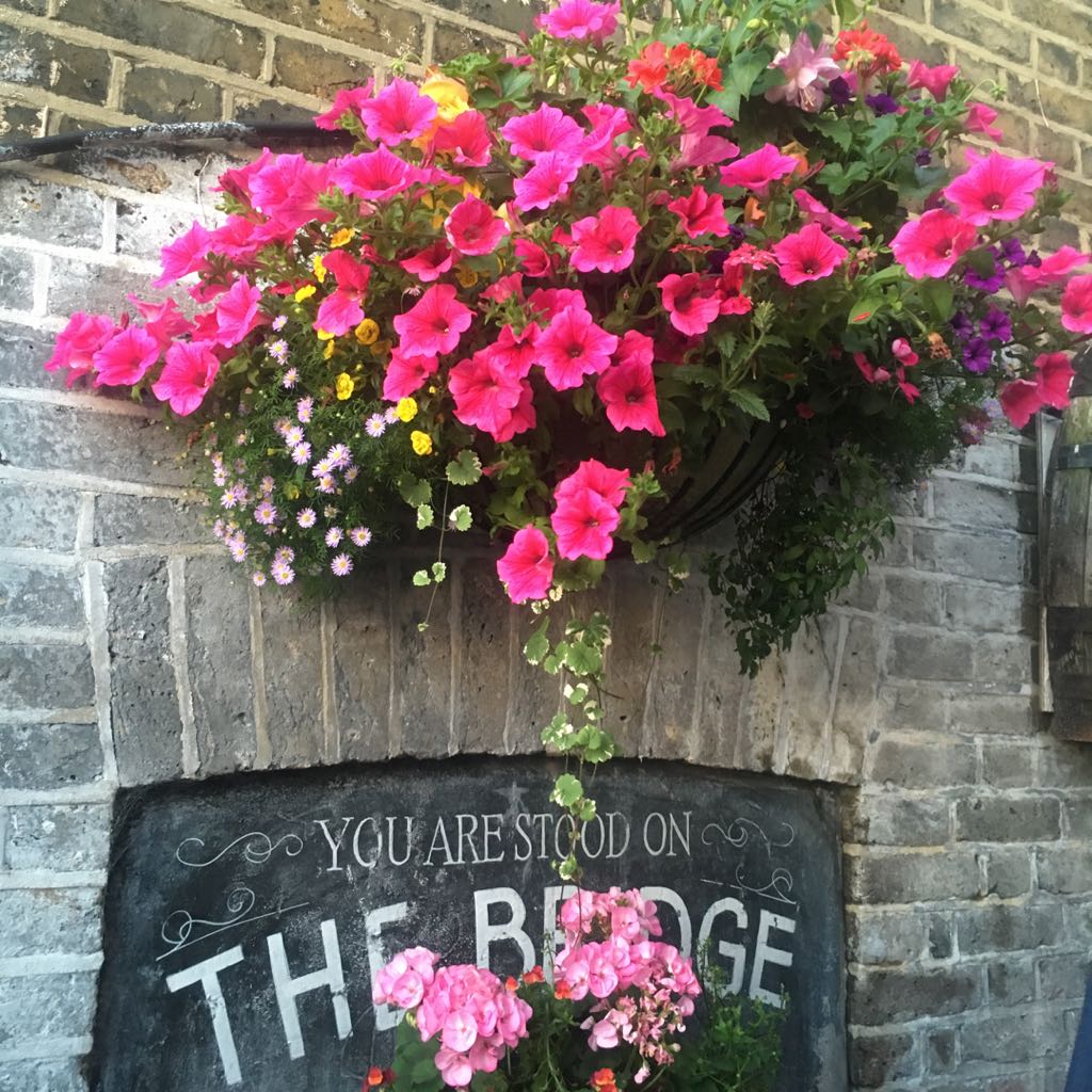 美品✨フェラガモ 定価95000円パンプス 7D ボルドー スウェードサルノ