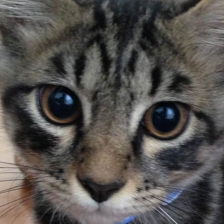 steven alan＞ ALCOT BLACK DRESS 未着用 - メルカリ 