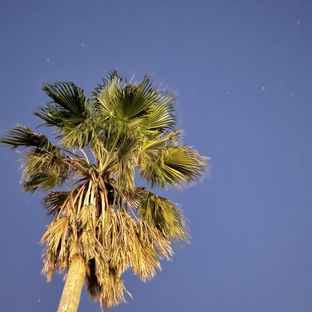 pimax8k パイマックス コードに不具合あり - メルカリ 