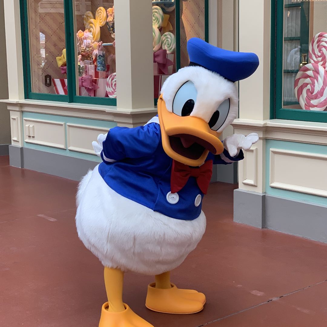 litmus/JANSOLVIEASSEMBLYナイロンロングスカート by メルカリ 