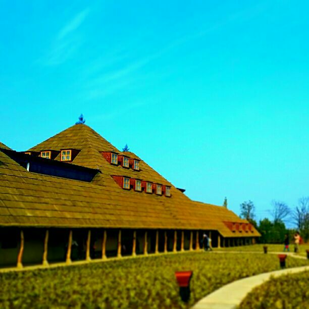 新品/未使用】【新品未使用】Maje リボン柄 ワンピース Emily in Paris  