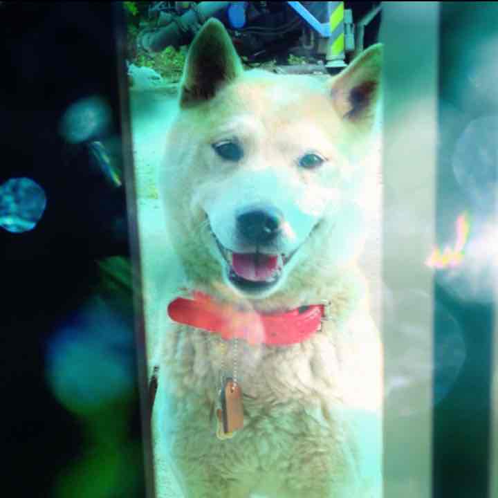 お休み中 ㊻ ひとさじ 【太陽】 - メルカリ 