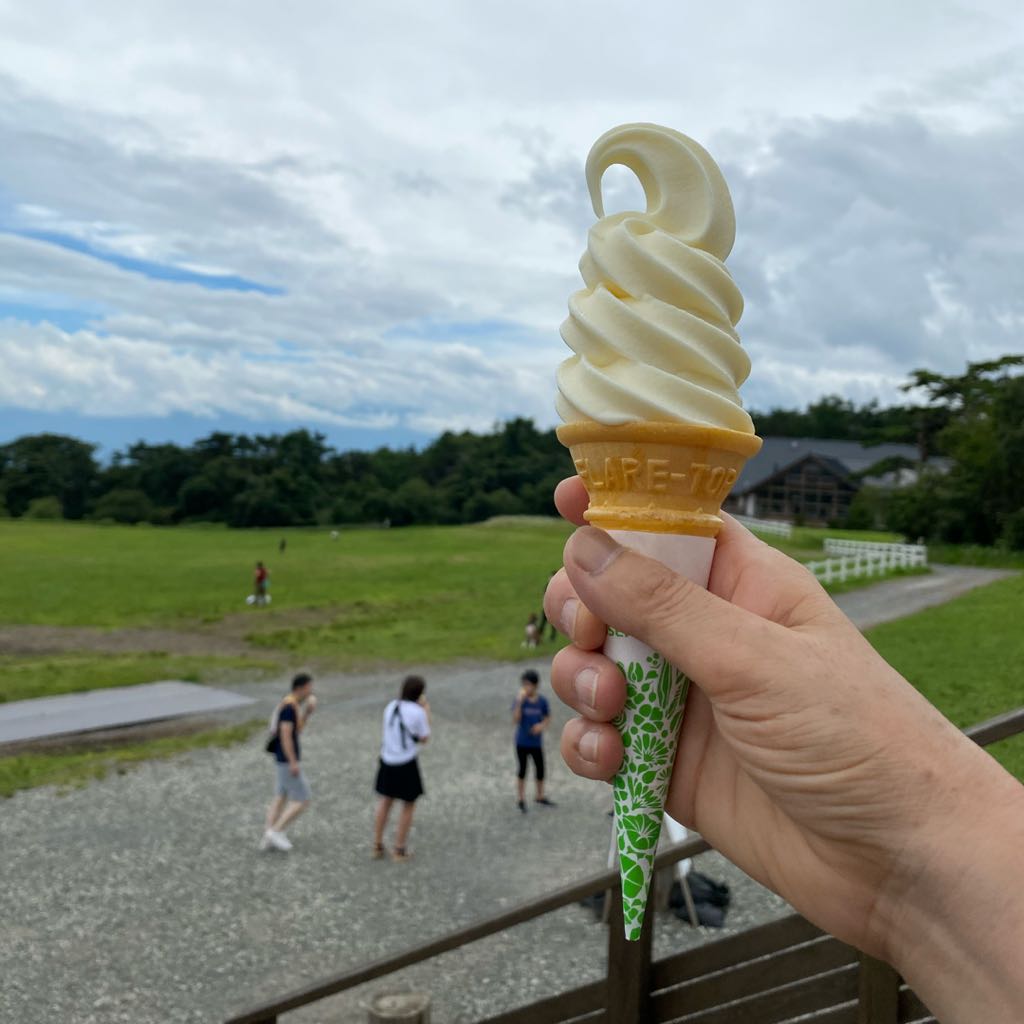 超美品 NEEDLES needle EOTW セットアップ 上XL バラ売り可 下M