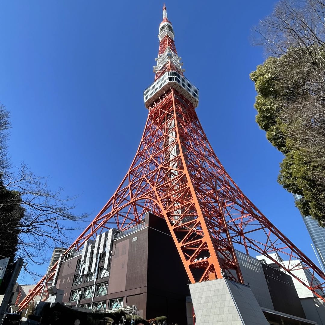 トミカ スマイルキャンペーン 第1弾 日産 スカイラインクーペ 美品 by 
