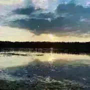 新品 未開封 ちからつきた カイリュー もこもこ パーカー ポケモン  