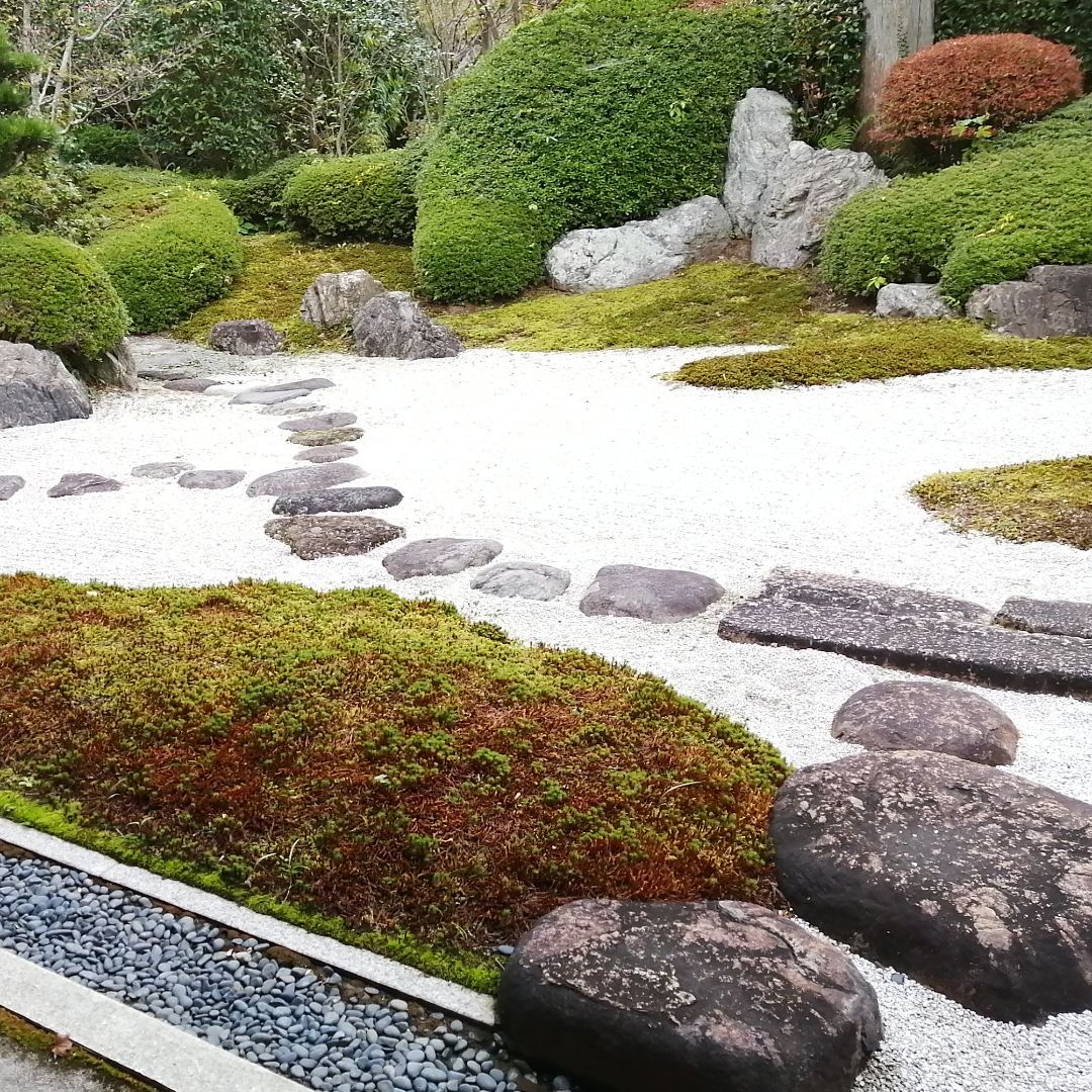 美品DAMA ホールガーメント カシミヤファー加工ロング丈カーディガン  