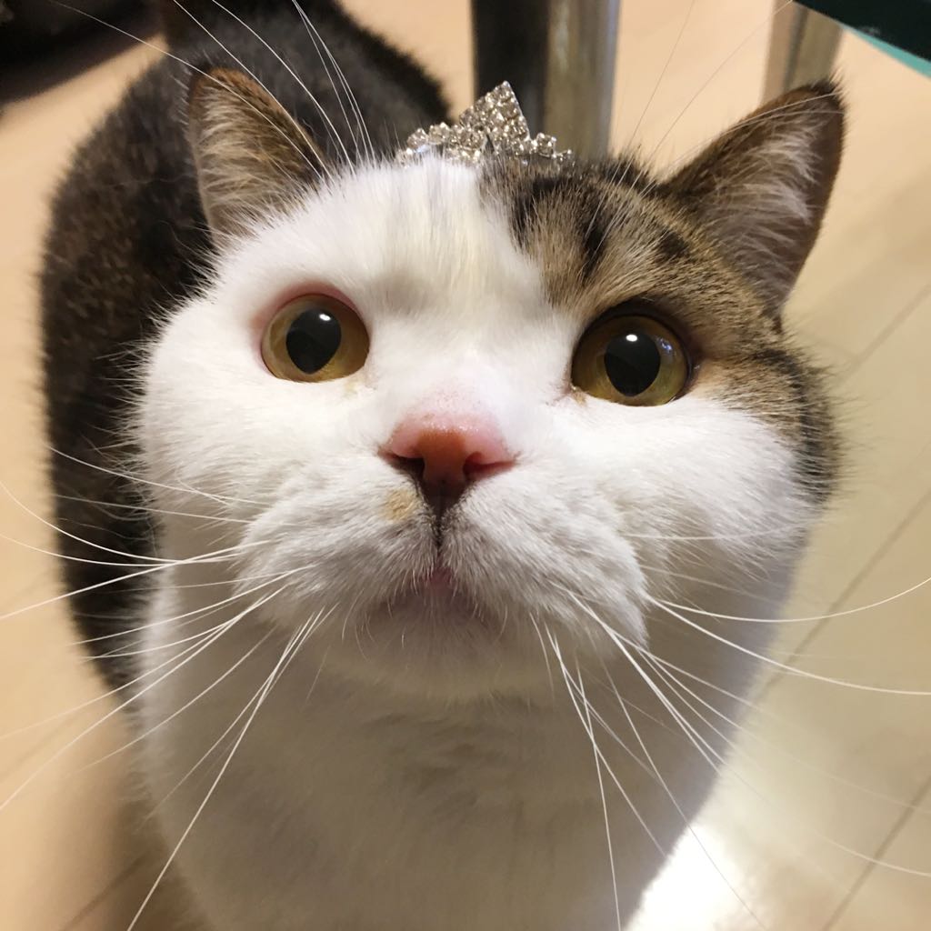 mini同梱割引相談可！様】オーダー ハンドメイド☆バッグインバッグ  