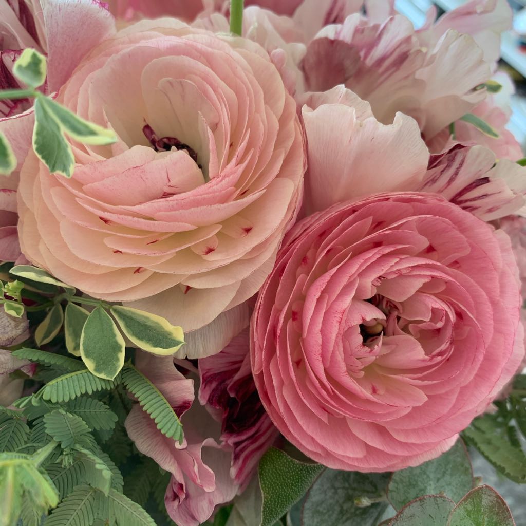 新品同様 エミリオプッチ pucci ワンピース シルク 定価30万 - メルカリ 