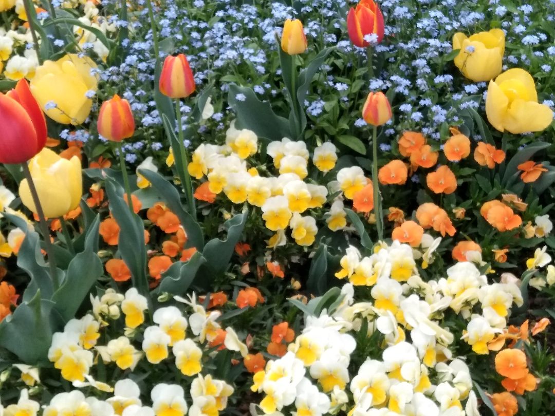 深喜 フカキ 最高級カシミヤ ニットジャケット カーディガン Mサイズ  